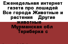 Еженедельная интернет - газета про лошадей - Все города Животные и растения » Другие животные   . Мурманская обл.,Териберка с.